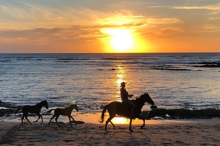 Private tours and transfer Costa Rica - Photo 1 of 25